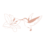 百合の花とハチドリ_pink