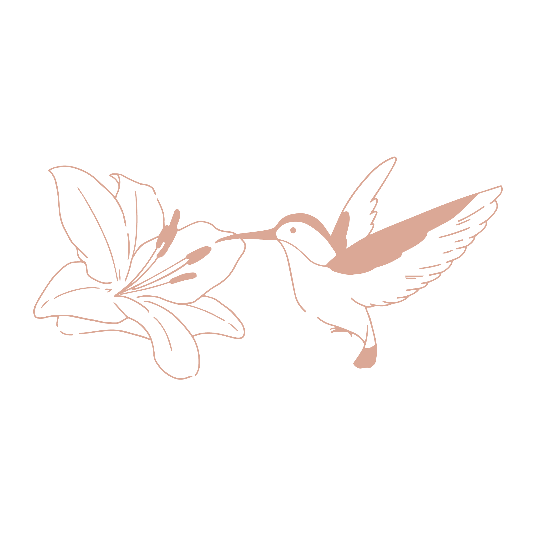 百合の花とハチドリ_pink